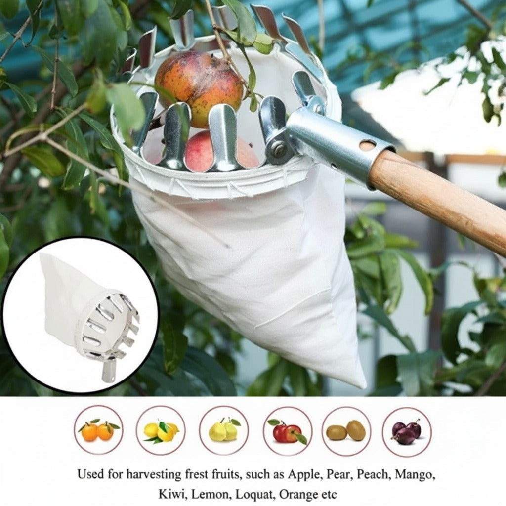 Cueilleur de fruits