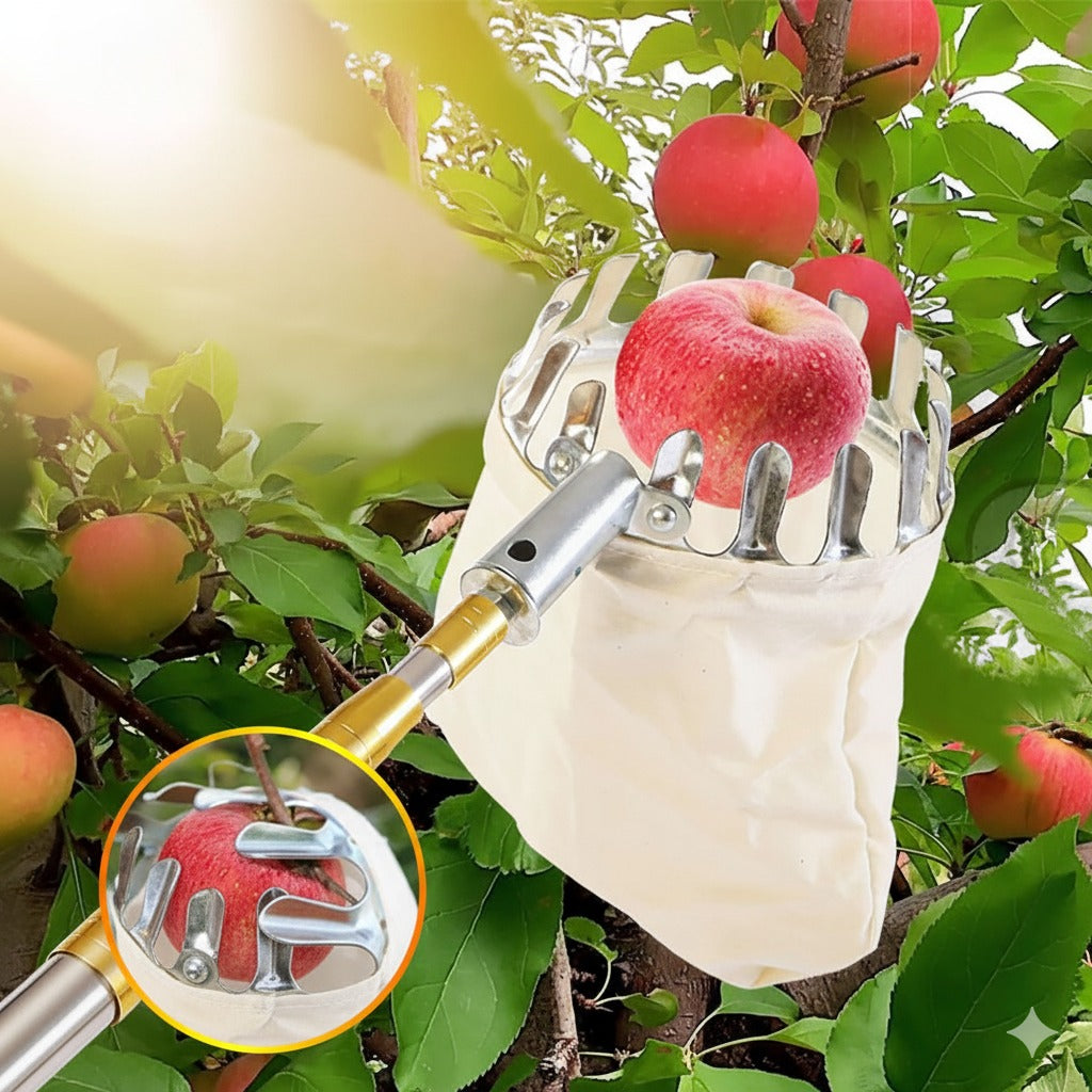 Cueilleur de fruits
